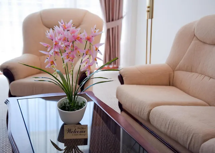 Hotel Mercury Sunny Beach